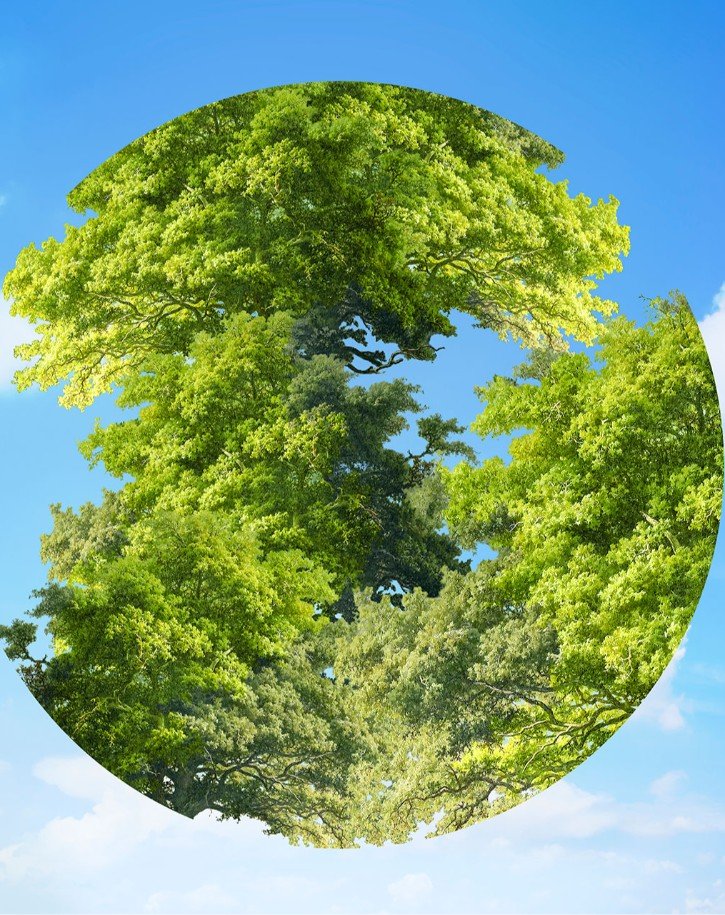 Çevresel Sürdürülebilirlik